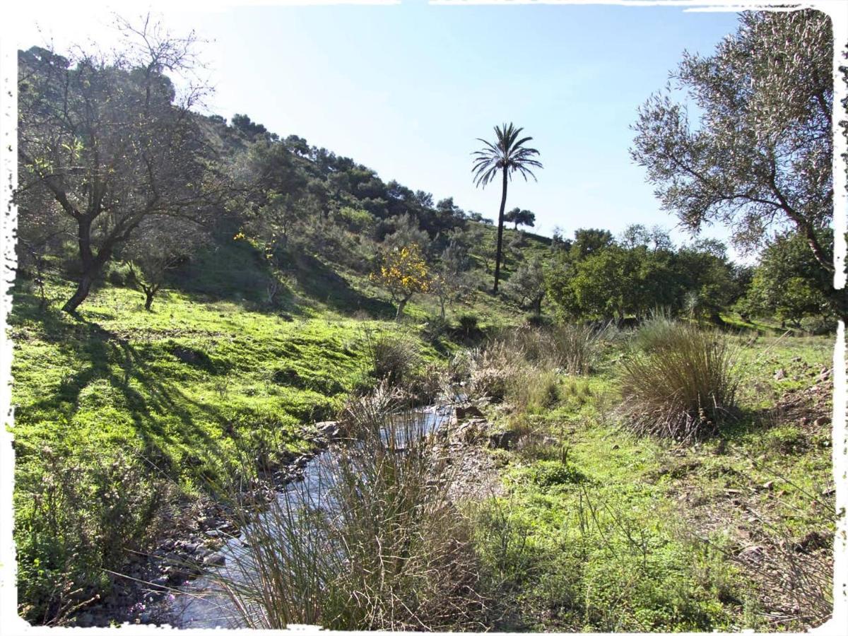Cortijo Casas Viejas Villa Málaga Buitenkant foto