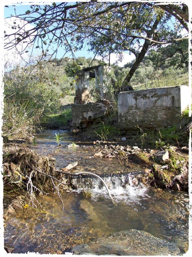 Cortijo Casas Viejas Villa Málaga Buitenkant foto